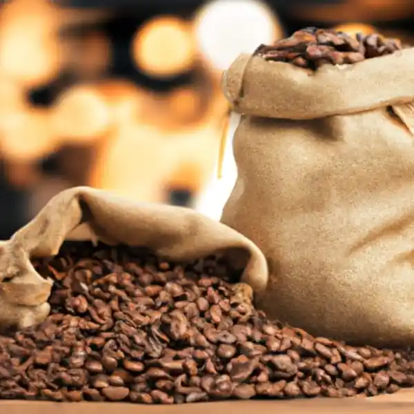 The Coffee Bean Roasting Process